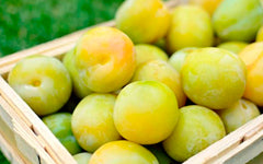 Rainha Cláudia d'Elvas Plum