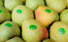 Bravo de Esmolfe Apple PDO
