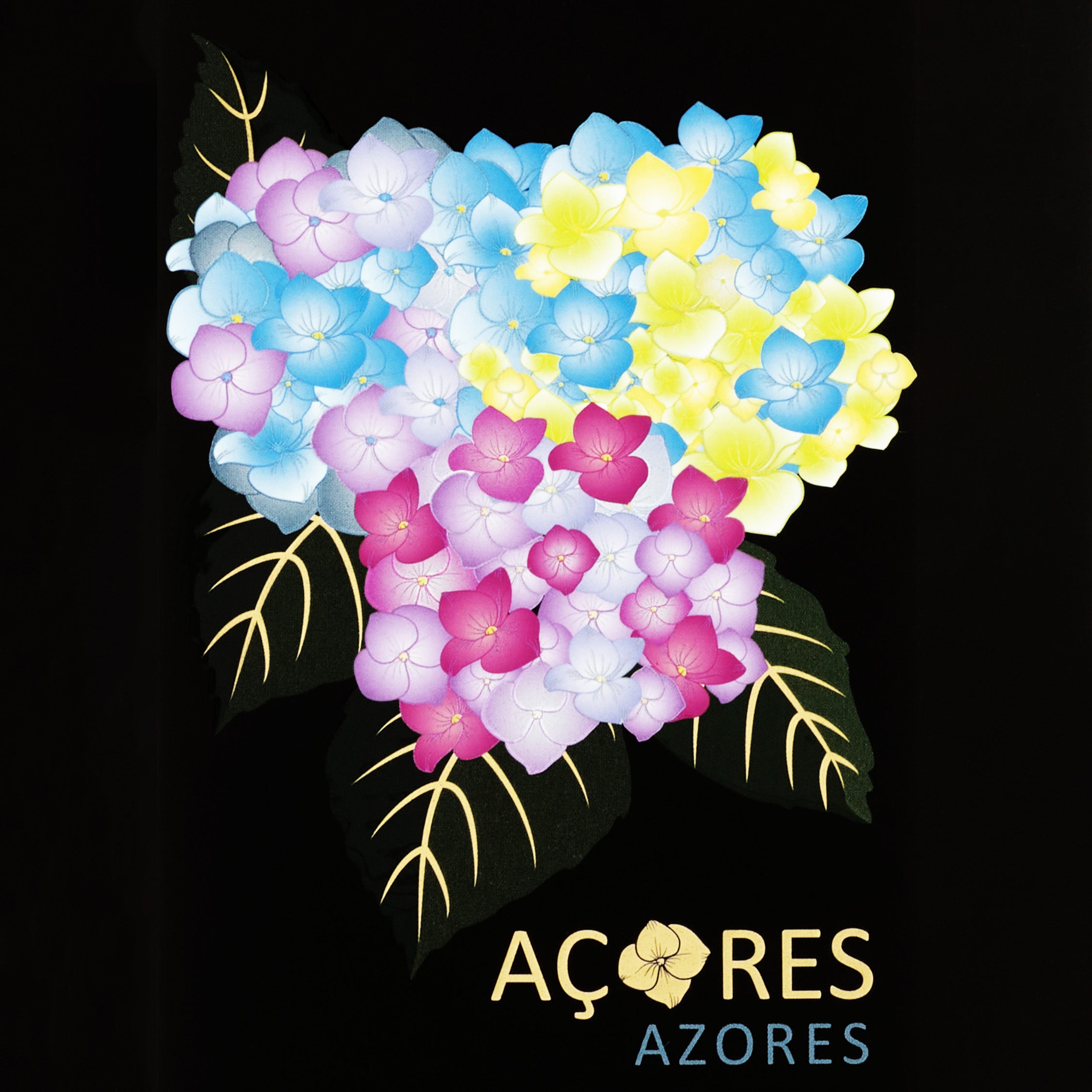 PACK 3 Flavors - Hydrangeas - Azores Souvenir – meia.dúzia®