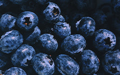 Organic Blueberries and Blackberries