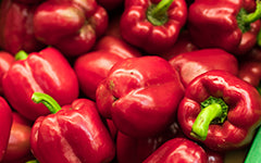 Red Bell Pepper