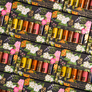 
                  
                    Travel Kit of 6 Portuguese Honeys - Tasting Gift from Portugal
                  
                